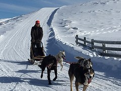 IMG_0807