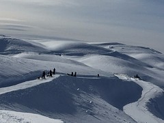 IMG_0811 (2)