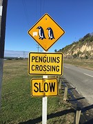 IMG_1275