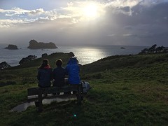 IMG_1726