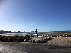 IMG_2279