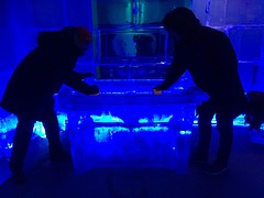 IMG_2875