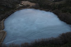 IMG_2943