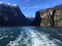 IMG_6077