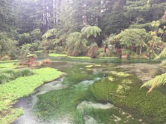 IMG_9889