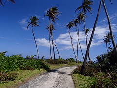 P8162255