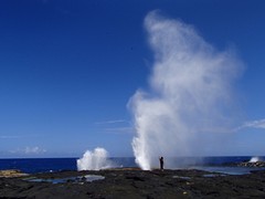 P8162277