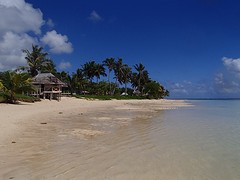 P8172382