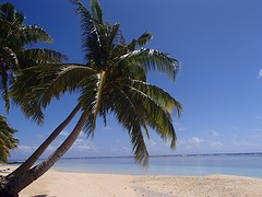P8172422