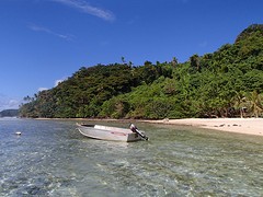 P8213000