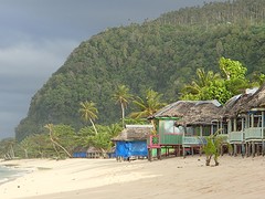 P8253242