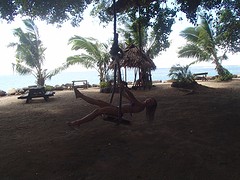 P8253343