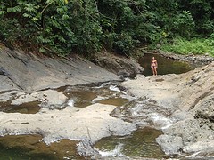 P8253354