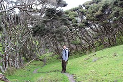 IMG_3650