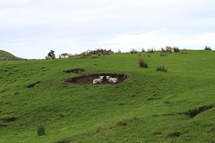 IMG_3659