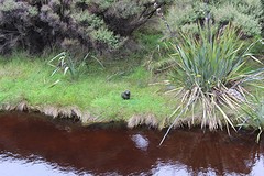 IMG_3669