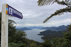IMG_3739