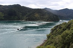 IMG_3829