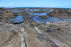IMG_4151