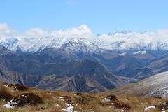 IMG_4263