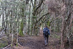 IMG_4603