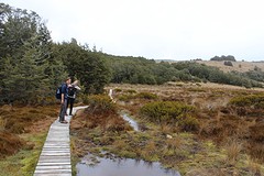 IMG_4606