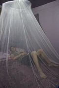 IMG_5935