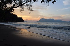 IMG_6806