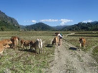 P1192375