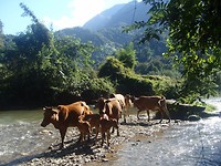 P1192395
