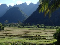 P1252931