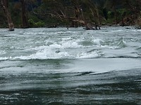 P2023465
