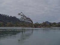 P2023469