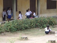 P2033511