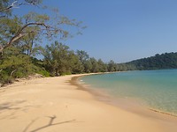 P2123951