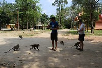 IMG_0359