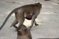 IMG_0372