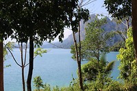 IMG_0496