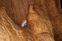 IMG_0516