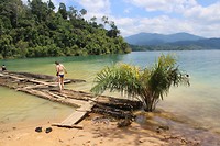 IMG_0524