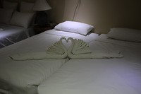 IMG_9709