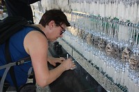 IMG_9758