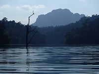 P3094728