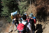 IMG_0109