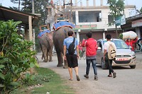 IMG_0230