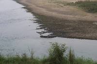 IMG_0235