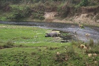 IMG_0246