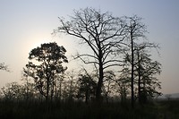 IMG_0271
