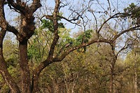 IMG_0280