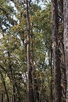 IMG_0289